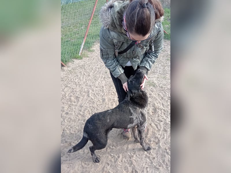 Zecco sucht einen warmen Platz