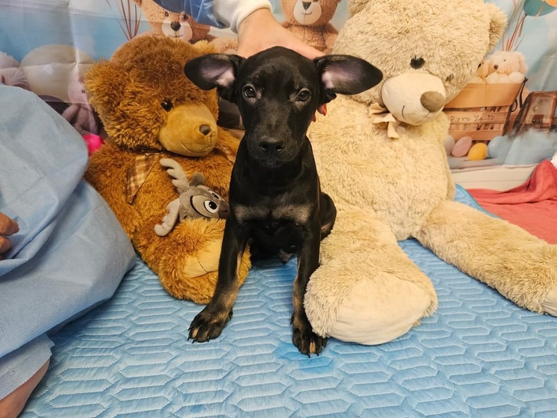 Frederico sucht einen Sportpartner