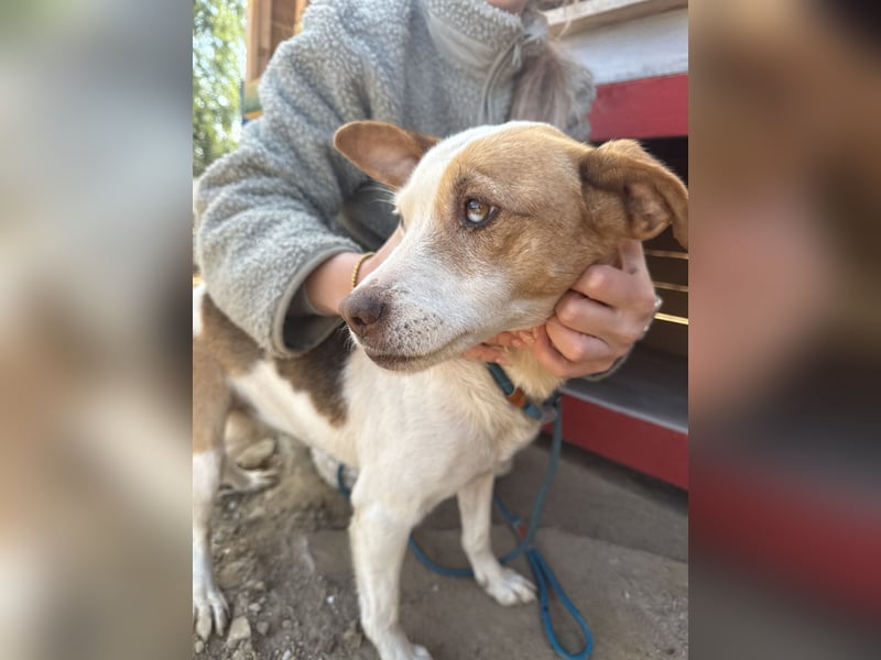 Picúr sucht ein Herz, das sie liebt