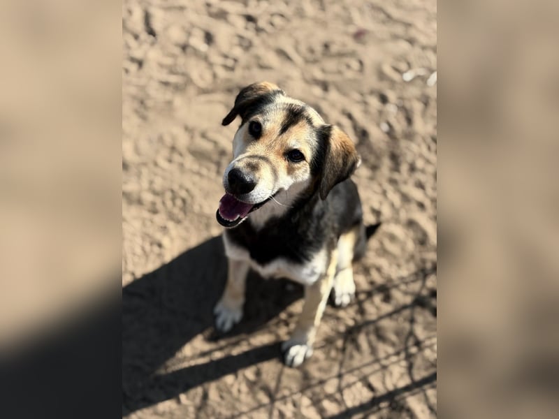 Mena träumt von einem eigenen Zuhause