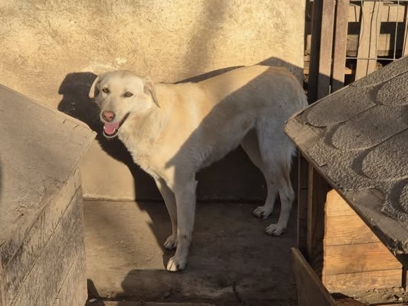 Die zauberhafte Elly sucht ihre Menschen