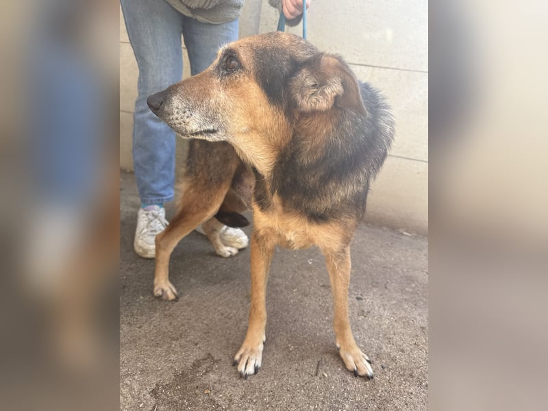 Gáspár möchte endlich ankommen