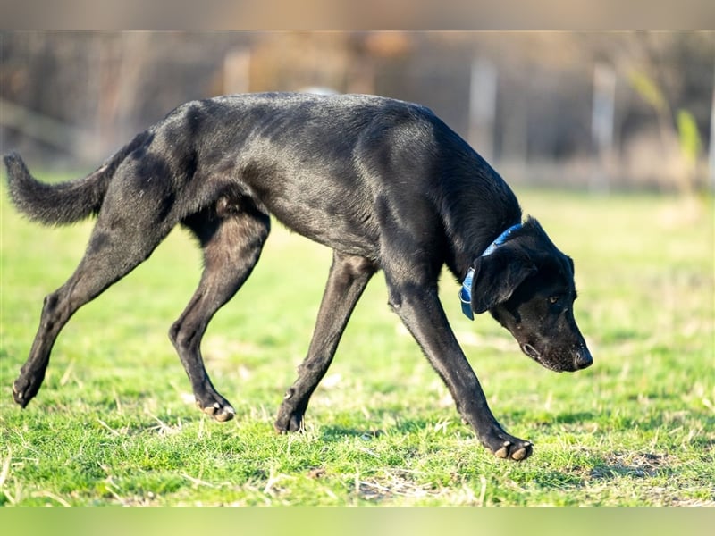 Black is beautiful- Brian Traumrüde möchte Bulgarien ganz schnell verlassen
