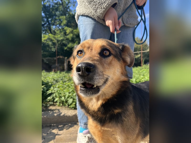 Rubina sucht ihren Menschen