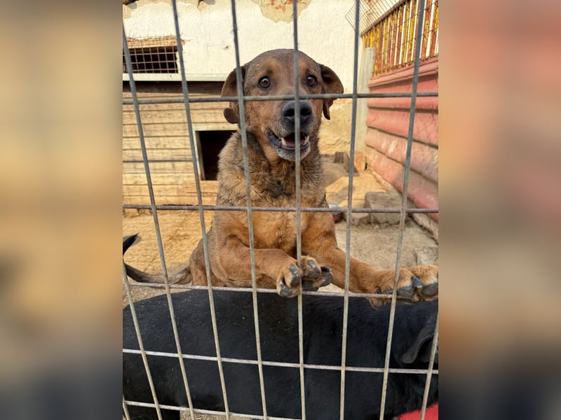 Férko möchte zeigen, was in ihm steckt