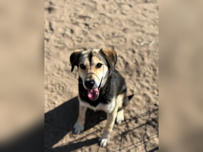 Mena träumt von einem eigenen Zuhause