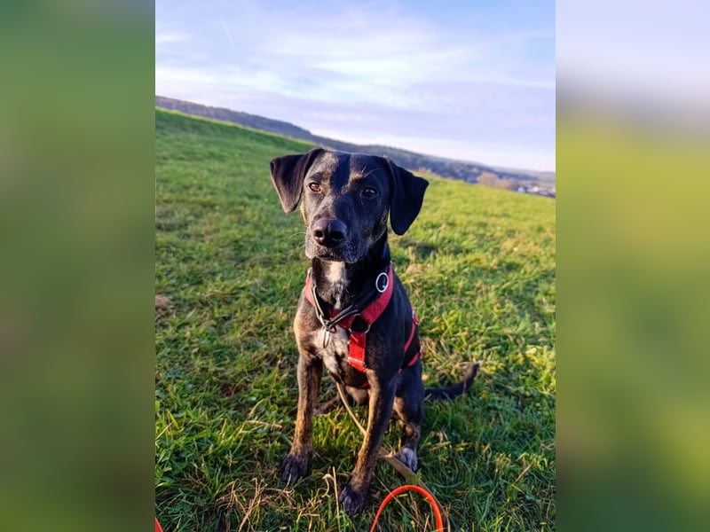 Aktive Pina wartet in 52385 Nideggen auf ihr Happy End!