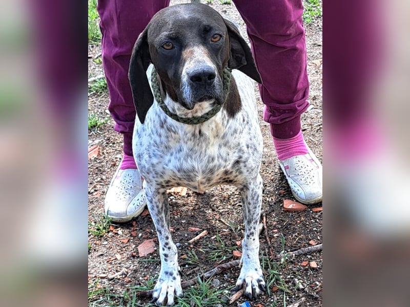 Hara sucht ihr eigenes Zuhause