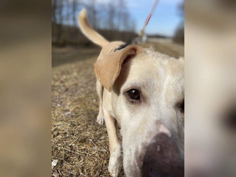 Pepe wartet in Augsburg