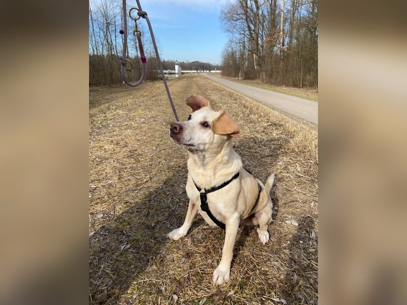Pepe wartet in Augsburg