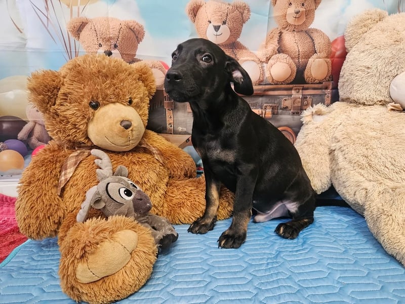 Frederico sucht einen Sportpartner