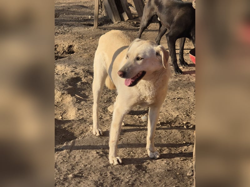 Die zauberhafte Elly sucht ihre Menschen