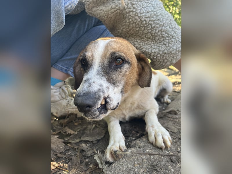 Bounty sucht ein zu Hause