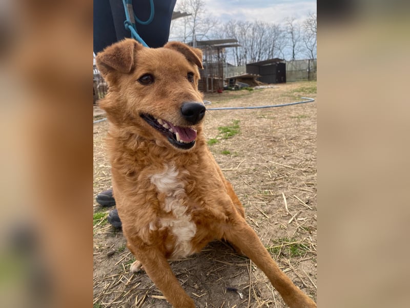 Kajla möchte endlich glücklich sein