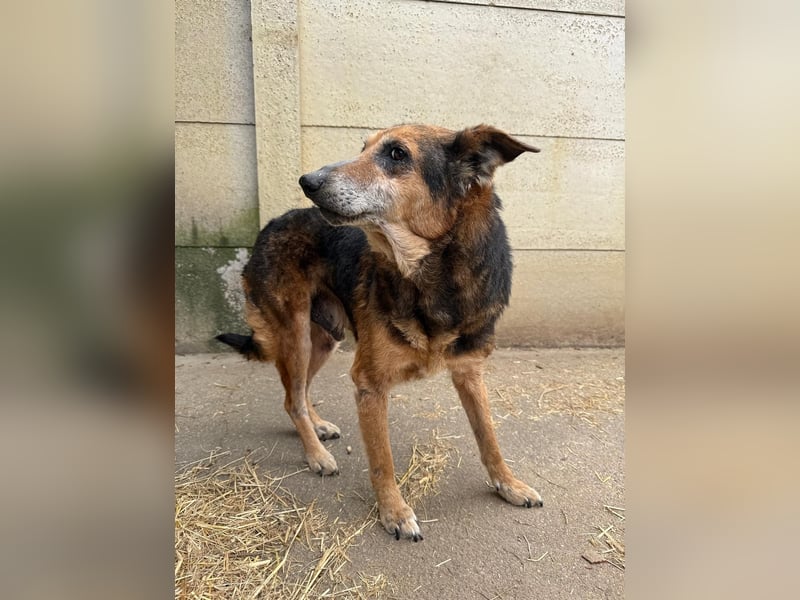 Gáspár möchte endlich ankommen