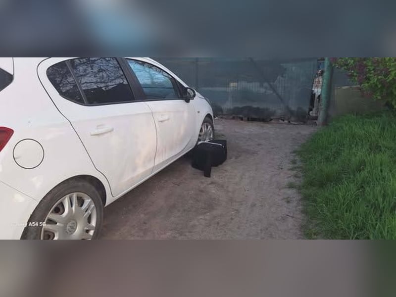 Welpenmädchen 887780 sucht ihr eigenes Körbchen