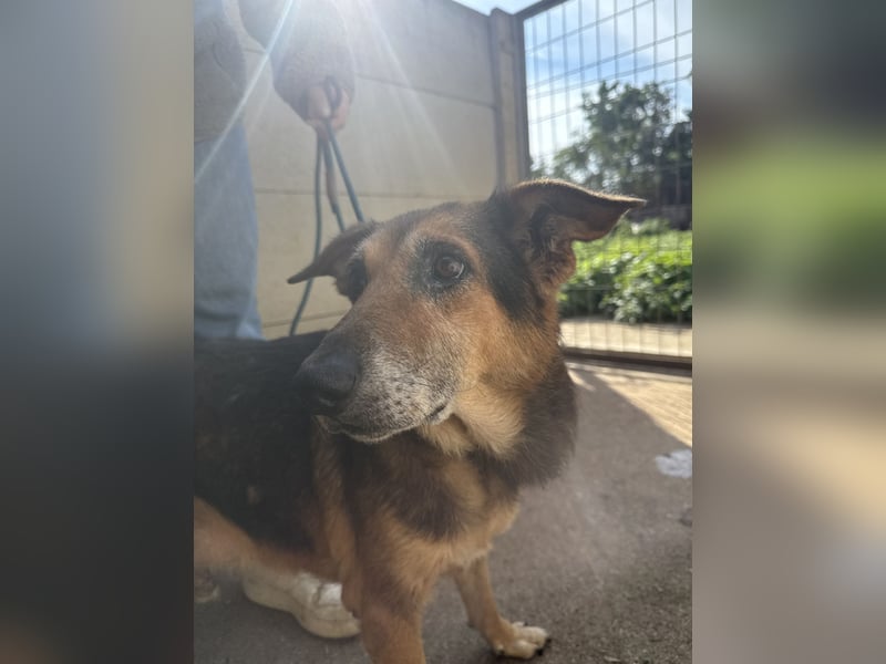 Gáspár möchte endlich ankommen