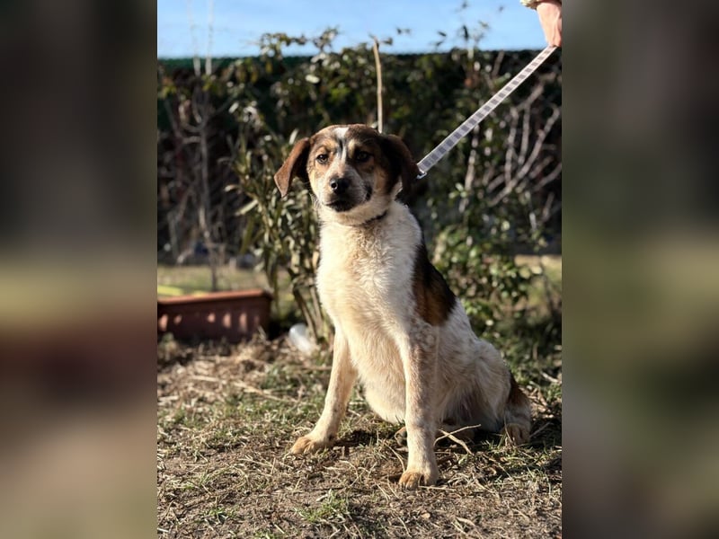 Eliot sucht seine Herzensmenschen