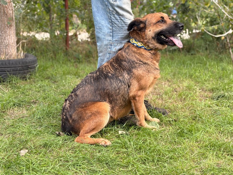 Mery wartet jeden Tag auf ihr Glück