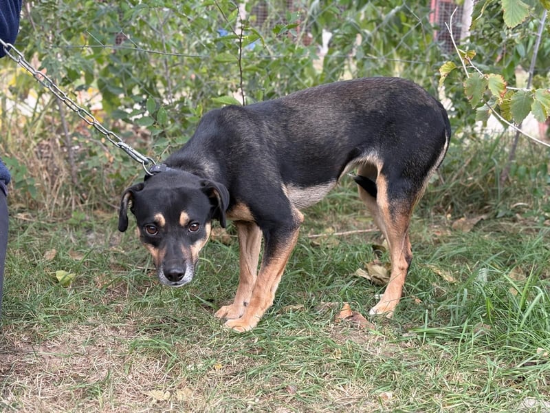 Malna - Möchte Teil deiner Familie werden!