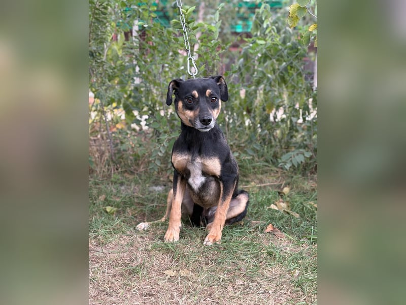 Malna - Möchte Teil deiner Familie werden!