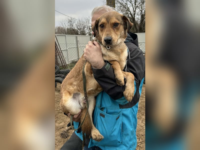 Nimer möchte endlich ankommen