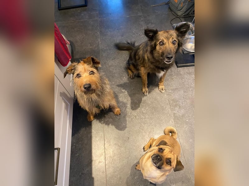 HAPPY ❤️ Name = Programm, Pflegefamilie Köln
