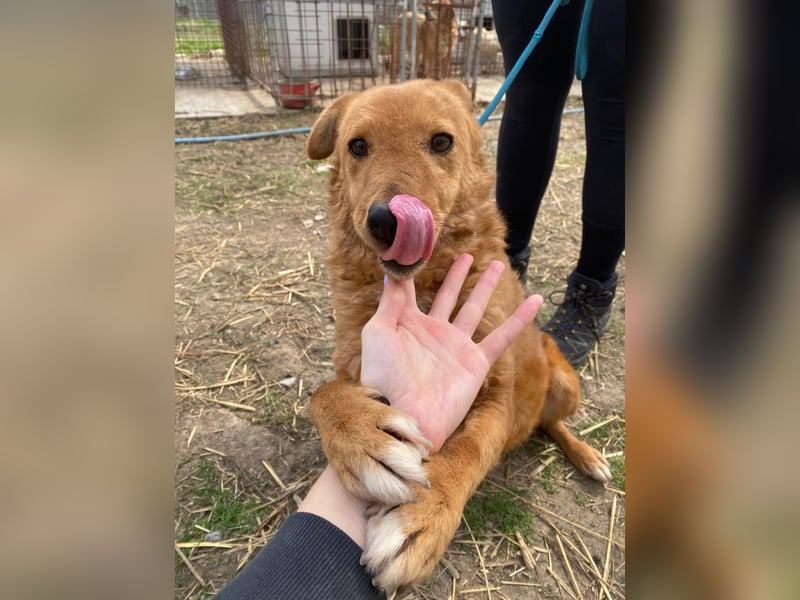 Kajla sucht eine Aufgabe