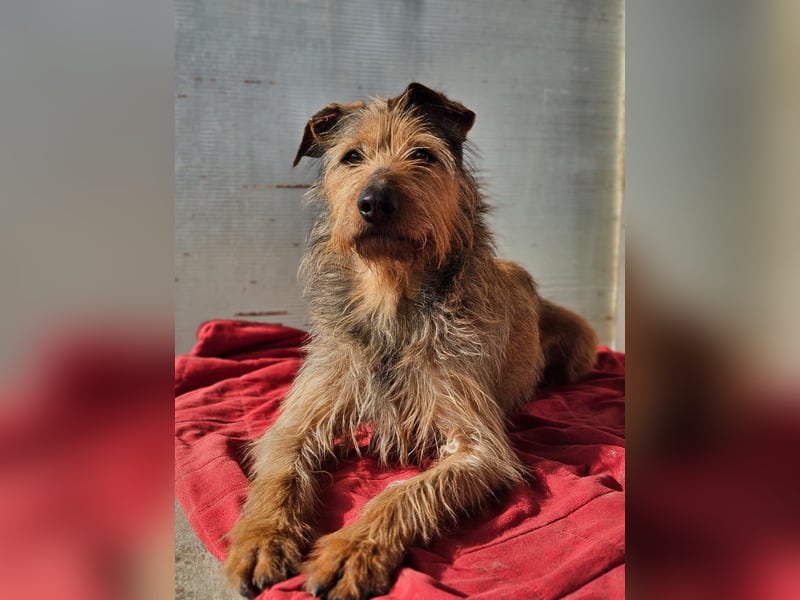 HAPPY ❤️ Name = Programm, Pflegefamilie Köln