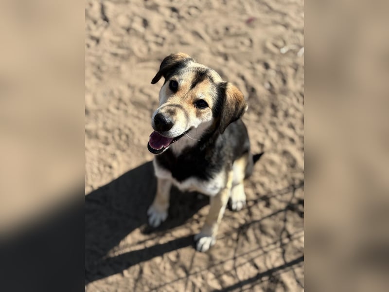 Mena träumt von einem eigenen Zuhause