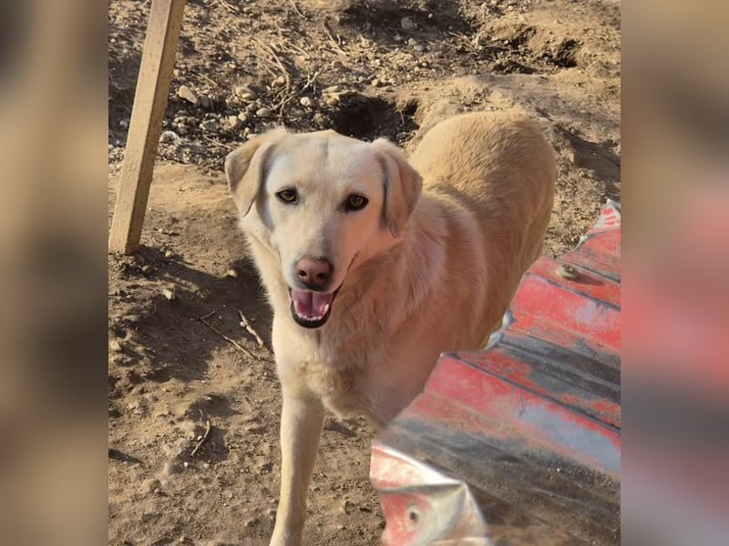 Die zauberhafte Elly sucht ihre Menschen