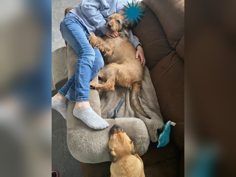 HAPPY ❤️ Name = Programm, Pflegefamilie Köln