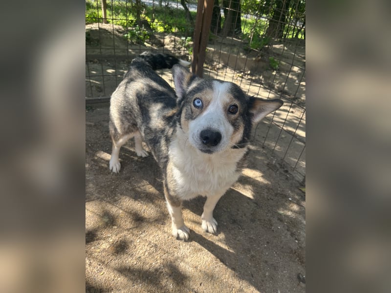 Lia - will dein Herz gewinnen!