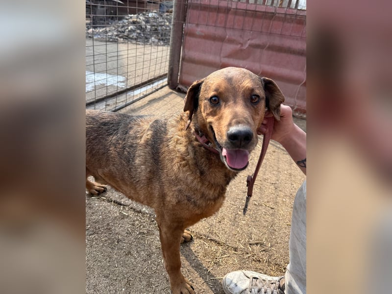 Férko möchte zeigen, was in ihm steckt