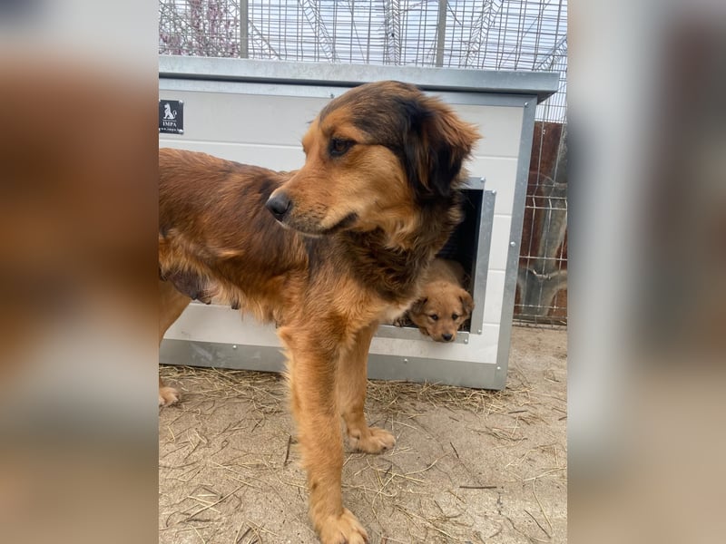 Fiona möchte nicht länger warten