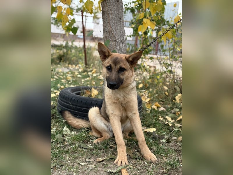 Lita träumt von einem eigenen Zuhause