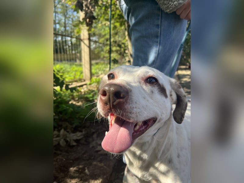 Ildike - hast du noch Platz im Herzen?