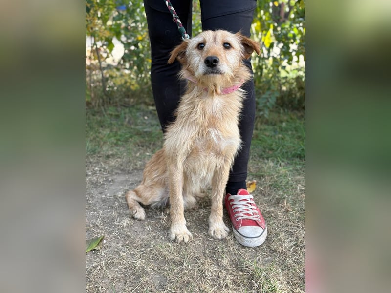 Norman möchte seinen ersten warmen Winter erleben