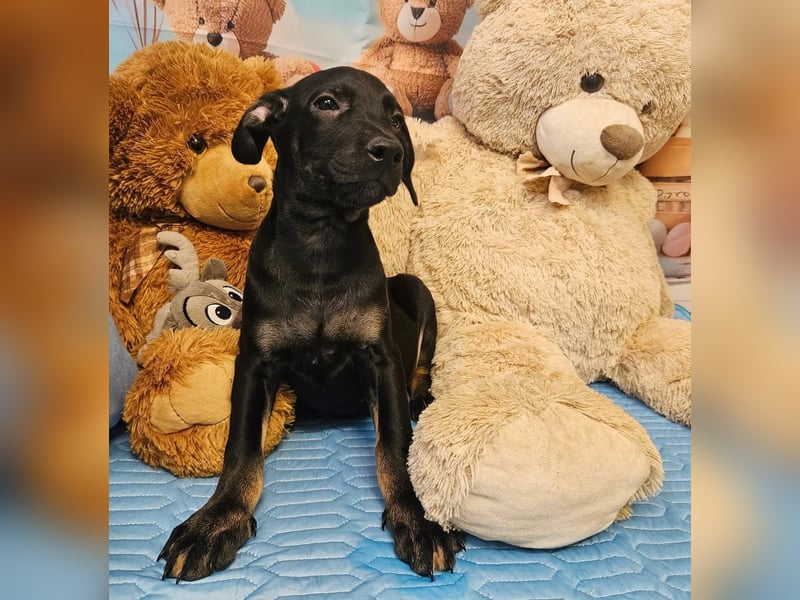 Frederico sucht einen Sportpartner