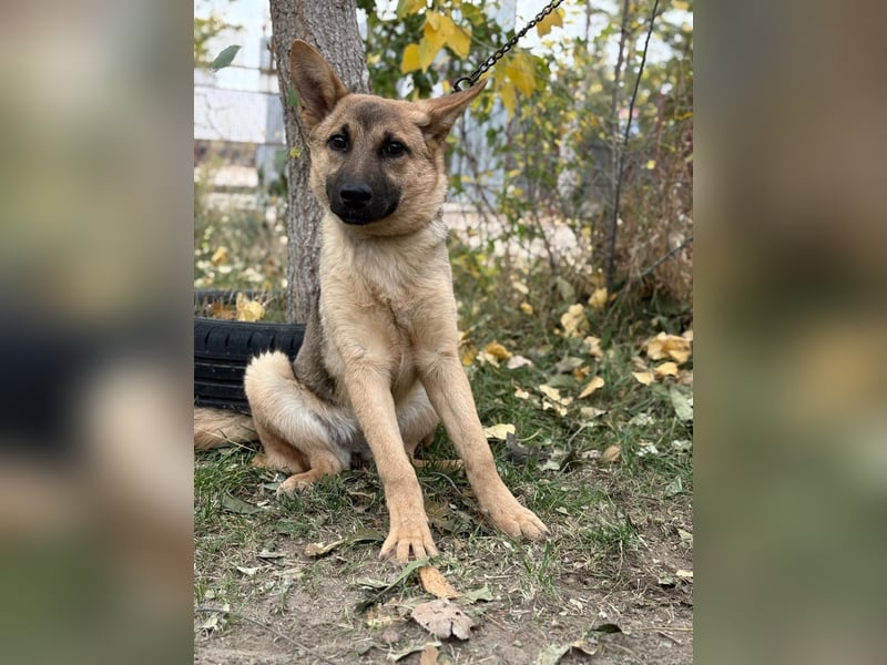 Lita träumt von einem eigenen Zuhause