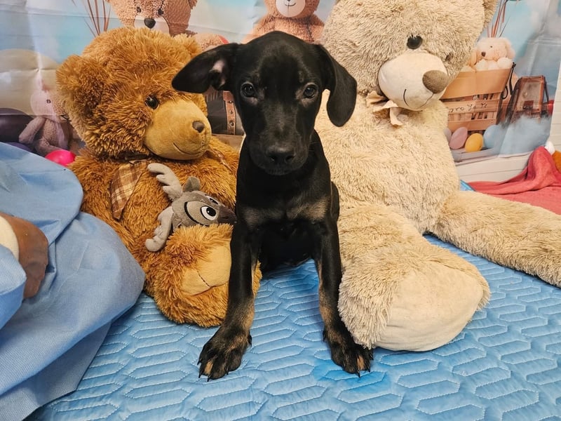 Frederico sucht einen Sportpartner