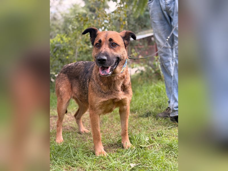 Mery- verbringen wir den nächsten Sommer gemeinsam ?