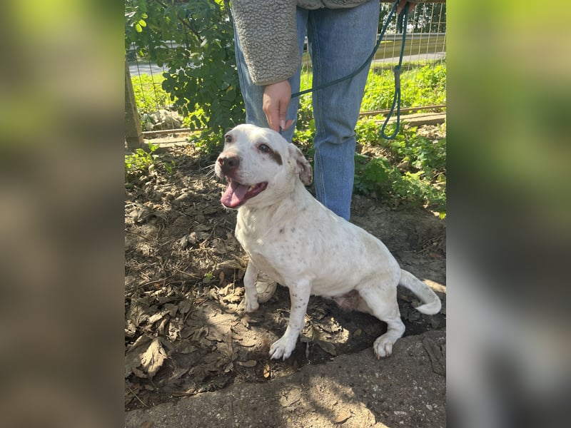 Ildike - hast du noch Platz im Herzen?