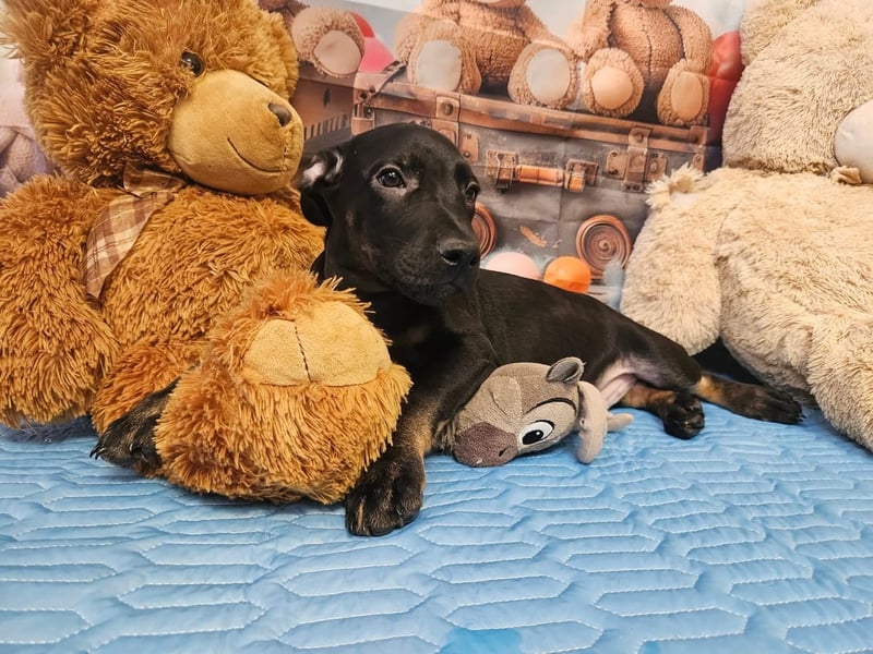 Frederico sucht einen Sportpartner