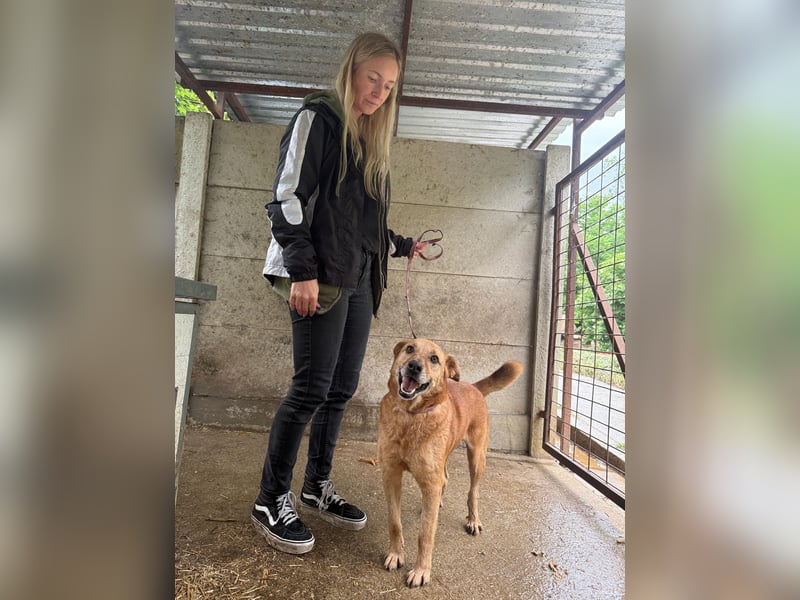 Dinka möchte dich kennenlernen