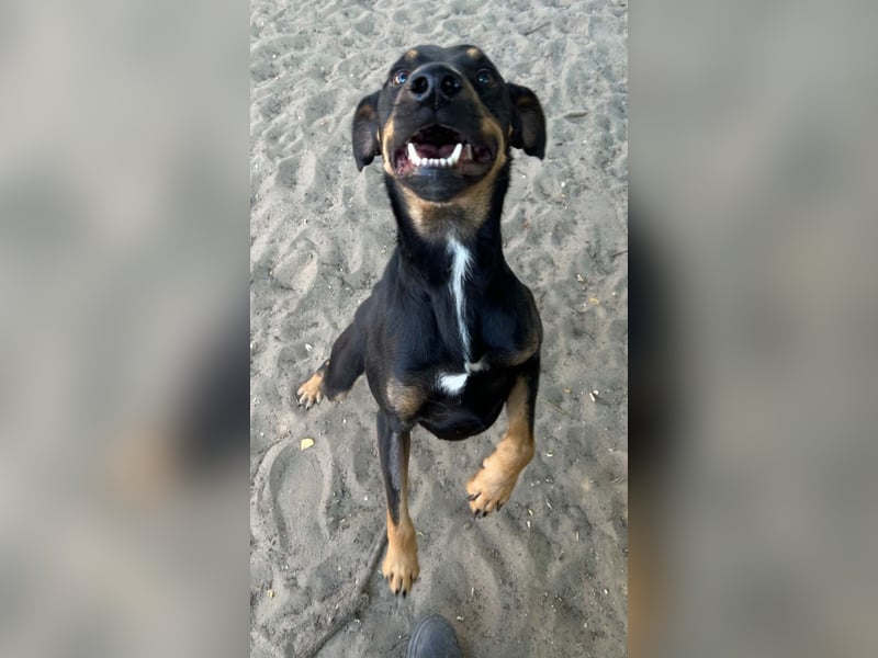 Valdo hat so viel Liebe zu geben