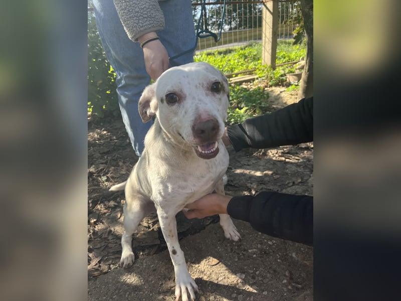 Ildike - hast du noch Platz im Herzen?