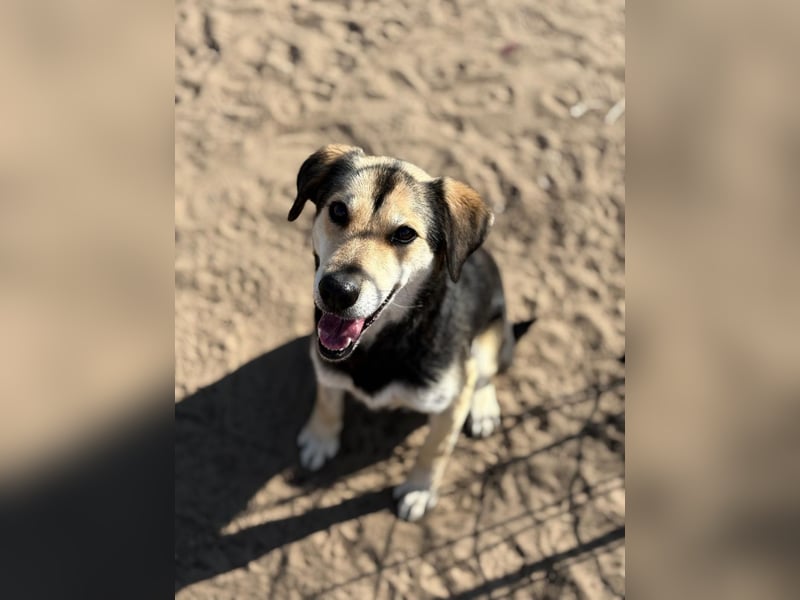 Mena träumt von einem eigenen Zuhause