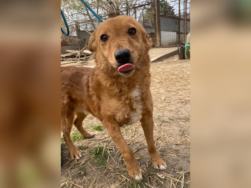 Kajla wartet auf ihr Happy End