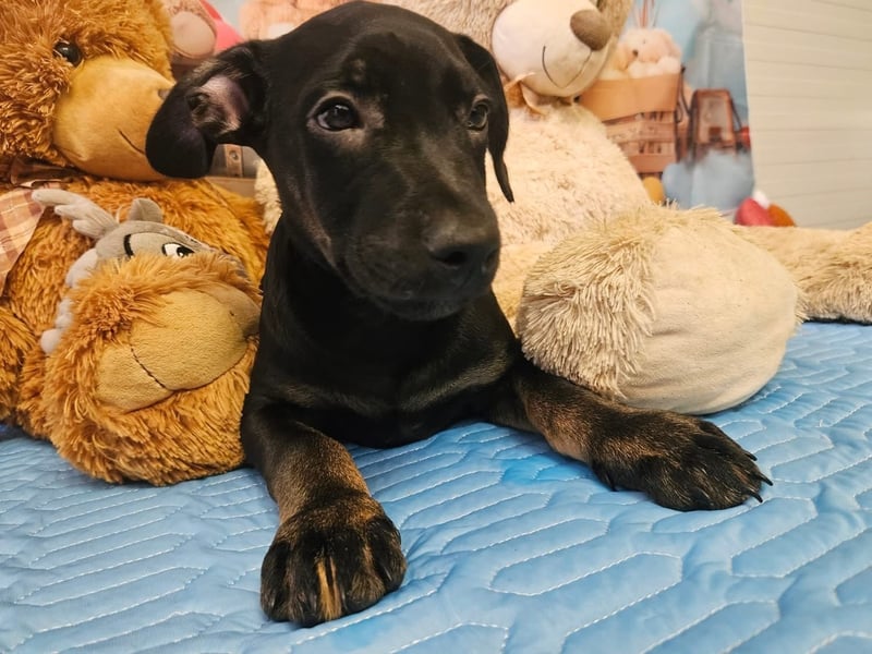 Frederico sucht einen Sportpartner